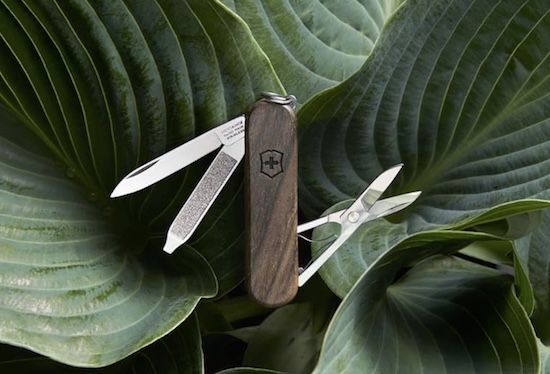 Victorinox Schweizer Taschenmesser Classic SD Wood für 26€ (statt 32€)