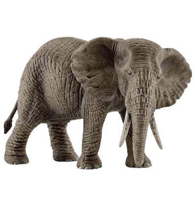 🐘 schleich Afrikanische Elefantenkuh (14761) für 7€ (statt 12€)