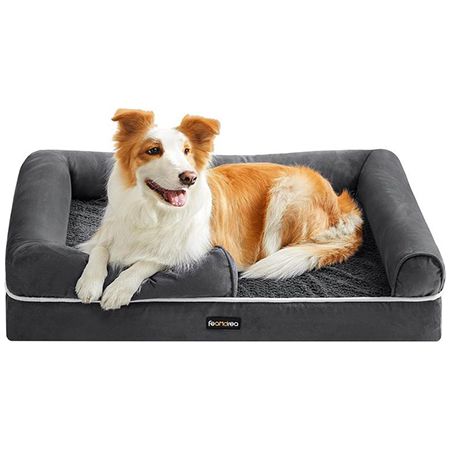 🐕 Feandrea Orthopädisches Hundebett, 91x71x20cm für 33,99€ (statt 40€)