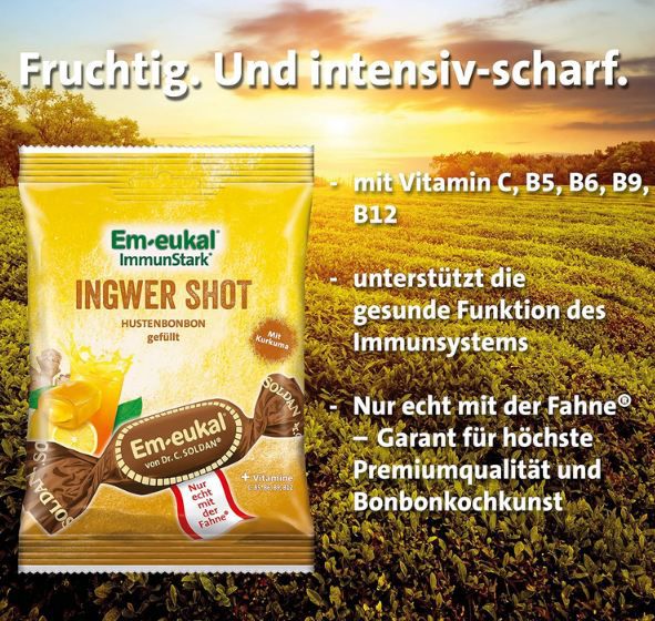 🍬 20er Pack Em eukal Ingwer Shot Hustenbonbon, je 75g für 29,74€ (statt 38€)