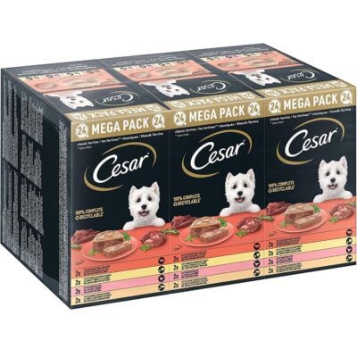 🐶Cesar Klassik-Terrine Hundenassfutter 4 Sorten – 24er Pack ab 12,23€ (statt 17€)