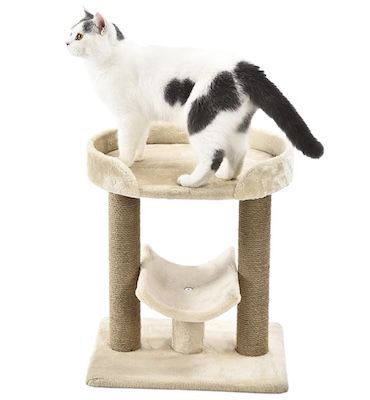 🐈 Amazon Basics Katzenbaum mit Plattform für 27,54€ (statt 35€)