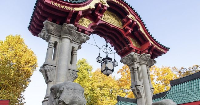 🐼 Berliner Zoo inkl. Hotel mit Frühstück ab 49€ p.P.