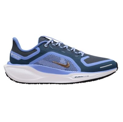 🔥 Nike Pegasus 41 GTX Damen-Laufschuhe für 42,76€ (statt 85€) – Restgrößen