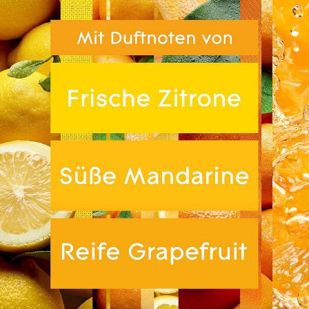 👃🏻 4er Pack Glade Touch & Fresh Nachfüller, Fresh Lemon ab 6,62€ (statt 8€)