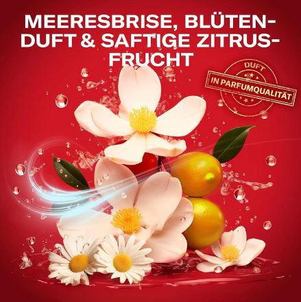 🚿 6 x 1 Liter Old Spice Deep Sea 3 in 1 Shampoo ab 33,26€ (statt 54€)