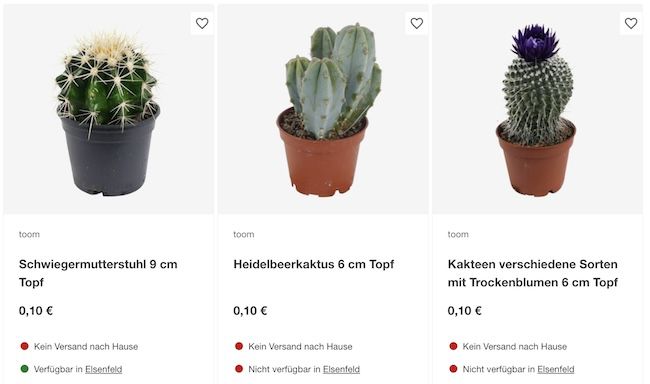 🌵 toom Baumarkt: Kakteen für je 0,10€ bei Abholung