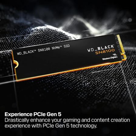 💾 WD Black SN8100 PCIe 5.0x4 NVMe M.2 SSD, 2 TB für 219,99€ (statt 240€)