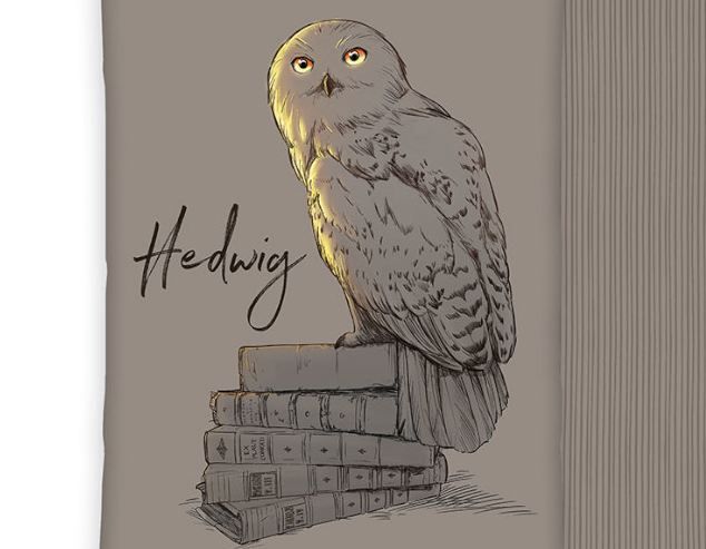 🦉 Harry Potter Bettwäsche Set, 135 x 200cm für 18,94€ (statt 40€)