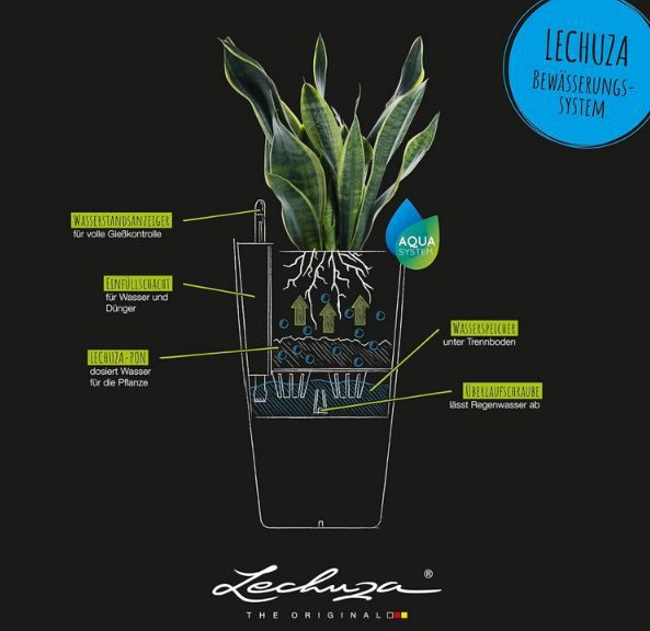 🌼 Lechuza Cilindro Color 23 Topf mit Bewässerungssystem für 21,18€ (statt 30€)