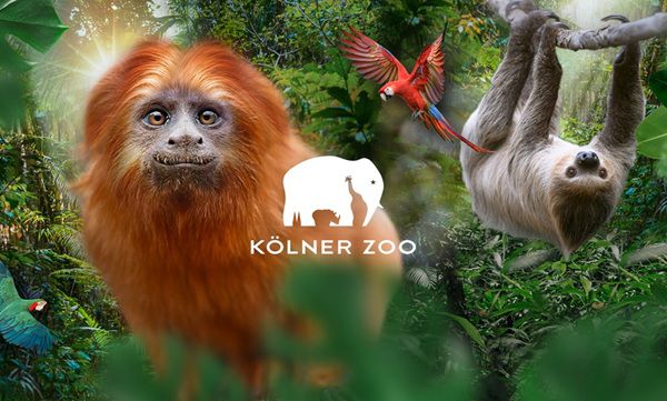 🦥 Freier Eintritt für i Dötzchen in den Kölner Zoo am 30.8.