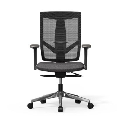 🪑 Flexispot ergonomischer Stuhl mit 8-fach verstellbarer Rückenlehne BS6/BS6 Lite ab 149,99€ (statt 250€)