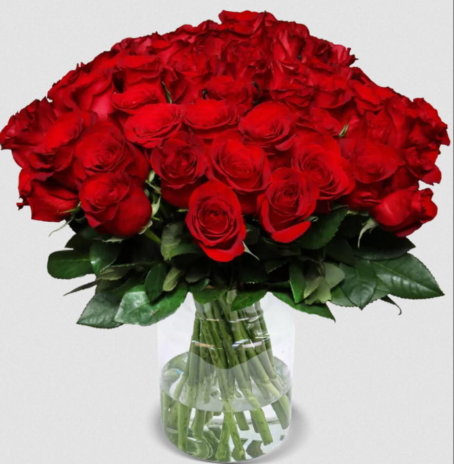 🌹 44 rote Rosen im Strauß ClassicRed Roses 40cm für 25,48€ – nur 0,57€ pro Rose