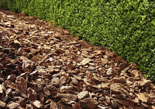 🏡 2x 60L Floragard Mulch Pinienrinde 25 40 mm für 20,97€ (statt 34€)