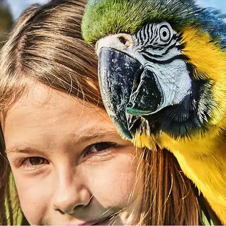🦜 Tageskarte für den Weltvogelpark Walsrode (Niedersachsen) für 17,91€ (statt 30€)