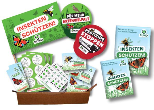 🦋 Gratis Aktionspaket: Insekten schützen!