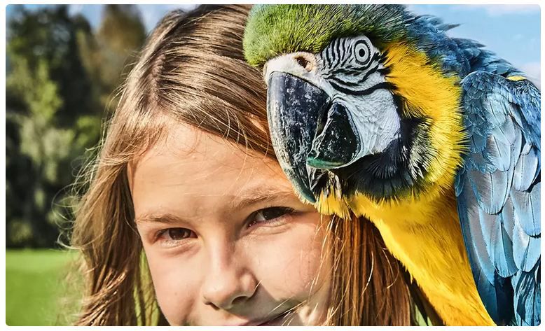 🦜 Tageskarte für den Weltvogelpark Walsrode (Niedersachsen) für 17,91€ (statt 30€)