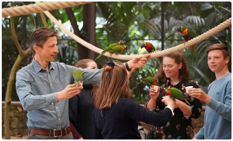 🦜 Tageskarte für den Weltvogelpark Walsrode (Niedersachsen) für 17,91€ (statt 30€)