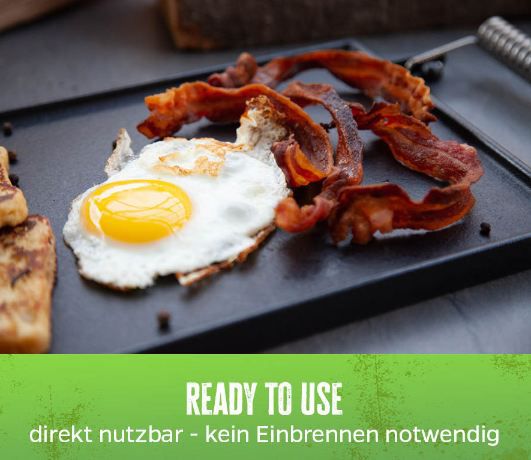 🥩 Grillfürst Gusseisen Universal Grillplatte/Wendeplatte, 35 x 20cm für 35,80€ (statt 45€)