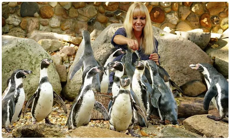 🦜 Tageskarte für den Weltvogelpark Walsrode (Niedersachsen) für 17,91€ (statt 30€)