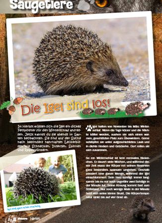 Kostenlos: Naturschutz Magazine Kinatschu für Kinder