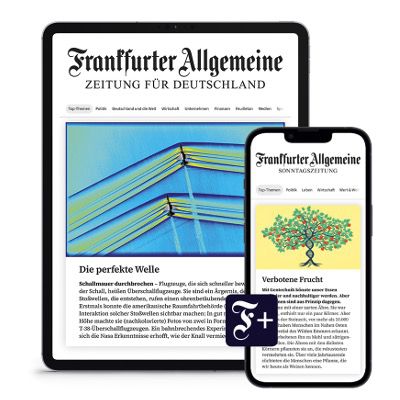 🗞️ Halbjahresabo F.A.Z. & Sonntagszeitung Digital für 99€ (statt 311€) ➡️ inkl. 20€ ARAL