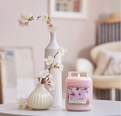 🌸 623g Yankee Candle Cherry Blossom Duftkerze im Glas für 23,99€ (statt 28€)