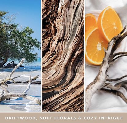 623g Yankee Candle Duftkerze Seaside Woods im Glas für 23,17€ (statt 26€)