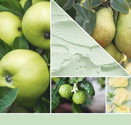 🍏🕯️ 623g Yankee Candle Green Apple Sorbet Duftkerze im Glas für 24,39€ (statt 33€)