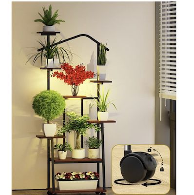 ☘️ Probapro Pflanzenständer mit Vollspektrum-Pflanzenlicht für 47,99€ (statt 80€)