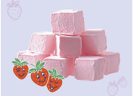 🍓 Kosmos Marshmallows mit Erdbeergeschmack selber Machen für 7,69€ (statt 11€)