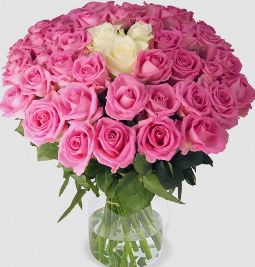 🌹Rosenstrauch Pink Special 40 Rosen für 30,48€ (statt sonst 39€)