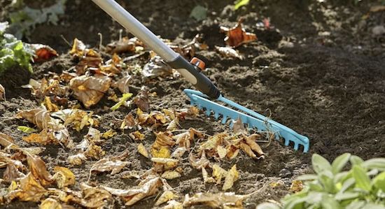 🍂 Gardena Combisystem Bügelrechen (3168 20) ab 13,99€ (statt 20€)
