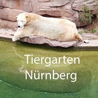 🦈 Freier Eintritt für Kinder bis 17 Jahre in den Tiergarten Nürnberg am 15.09.