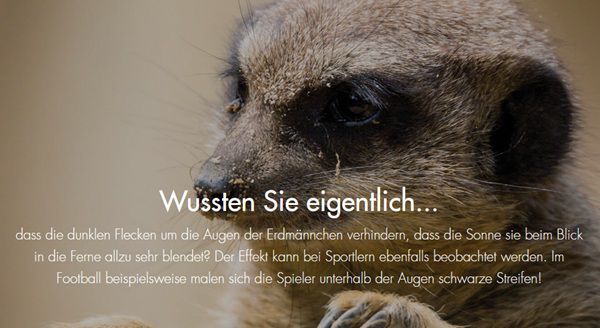 🐘 Jahreskarten Inhaber & Vereinsmitglieder: Freier Eintritt am 21.9. in 12 NRW Partnerzoos