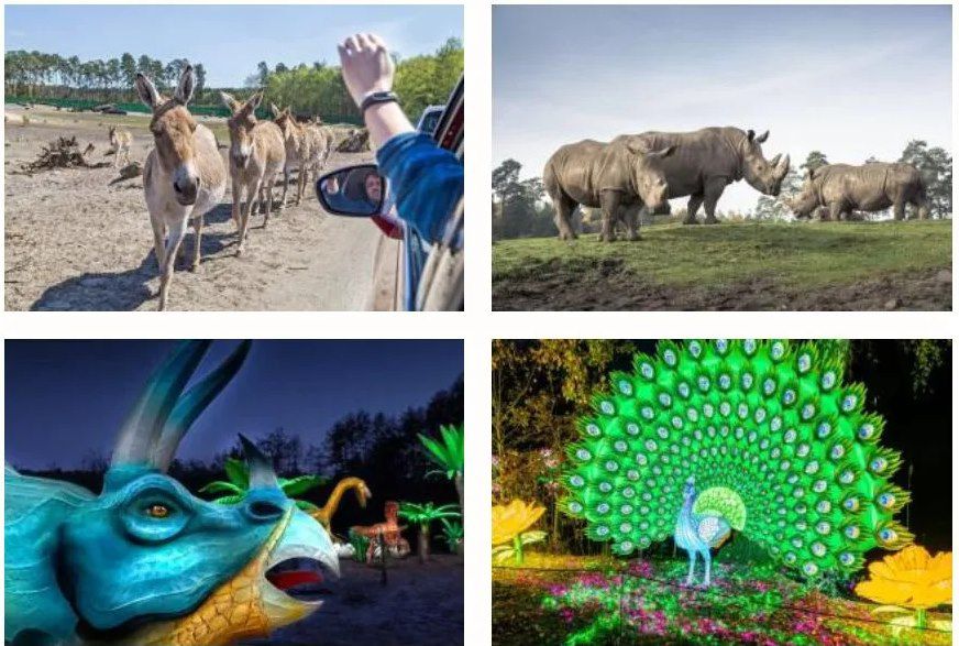 🦁 Serengeti Park inkl. ÜN in der Lüneburger Heide mit Frühstück & Lichterfestival ab 69€ p.P.