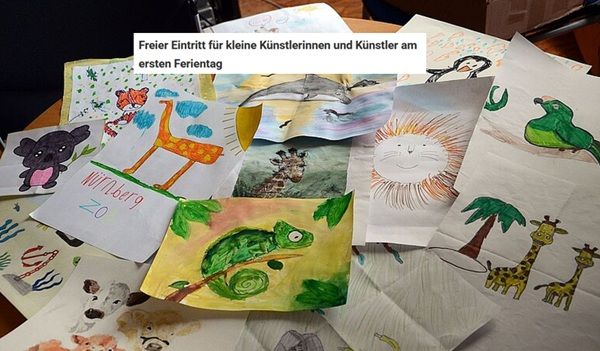 🦈 Freier Eintritt für Kinder bis 17 Jahre in den Tiergarten Nürnberg am 03.08. 🦈 Freier Eintritt für Kinder bis 17 Jahre in den Tiergarten Nürnberg am 03.08.