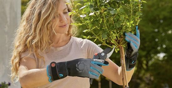 🧤 Gardena Rosenhandschuh 8/M ab 9,99€ (statt 17€)