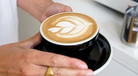 🥛 16x vly Milchalternative aus Erbsen für 33,83€ (statt 40€)   Barista, High Protein etc.