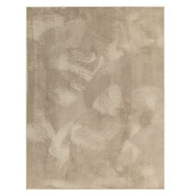 🤟 Teppich Havena (waschbar) in 80 x 150cm für 10,54€ (statt 21€)