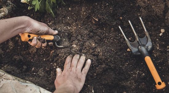 🏡 Fiskars Blumenrechen mit 3 Zinken (25cm) ab 4,99€ (statt 14€) 🏡 Fiskars Blumenrechen mit 3 Zinken (25cm) ab 4,99€ (statt 14€)