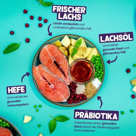 🐈 2kg Edgard & Cooper Katzen Trockenfutter mit Lachs ab 13,50€ (statt 21€)