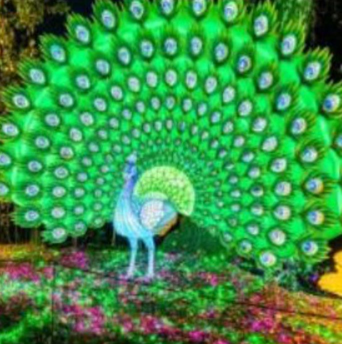 🦁 Serengeti-Park inkl. ÜN in der Lüneburger Heide mit Frühstück & Lichterfestival ab 69€ p.P.