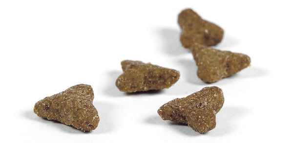 😻 10 kg JOSERA Léger Premium Katzen-Trockenfutter für 30,39€ (statt 41€) 😻 10 kg JOSERA Léger Premium Katzen Trockenfutter für 30,39€ (statt 41€)