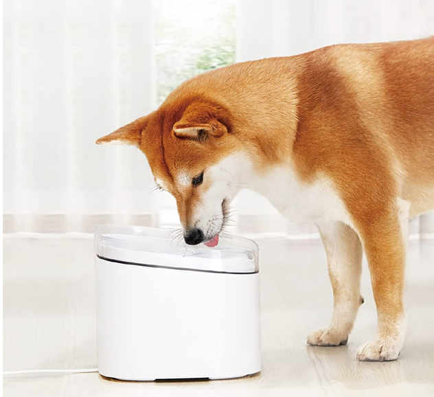 🐶🐈 Xiaomi Smart Katze & Hund Trinkbrunnen für 49,99€ (statt 63€)