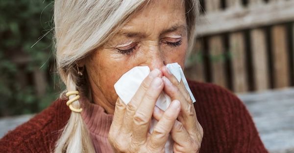 🤧 12x 100er Pack Tempo Original Taschentücher in Duo Box für 24€ (statt 30€)