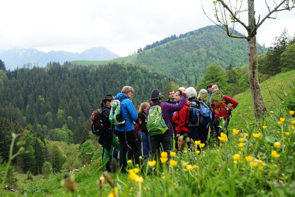 Gratis: BayernTourNatur   Fotokalender 2026