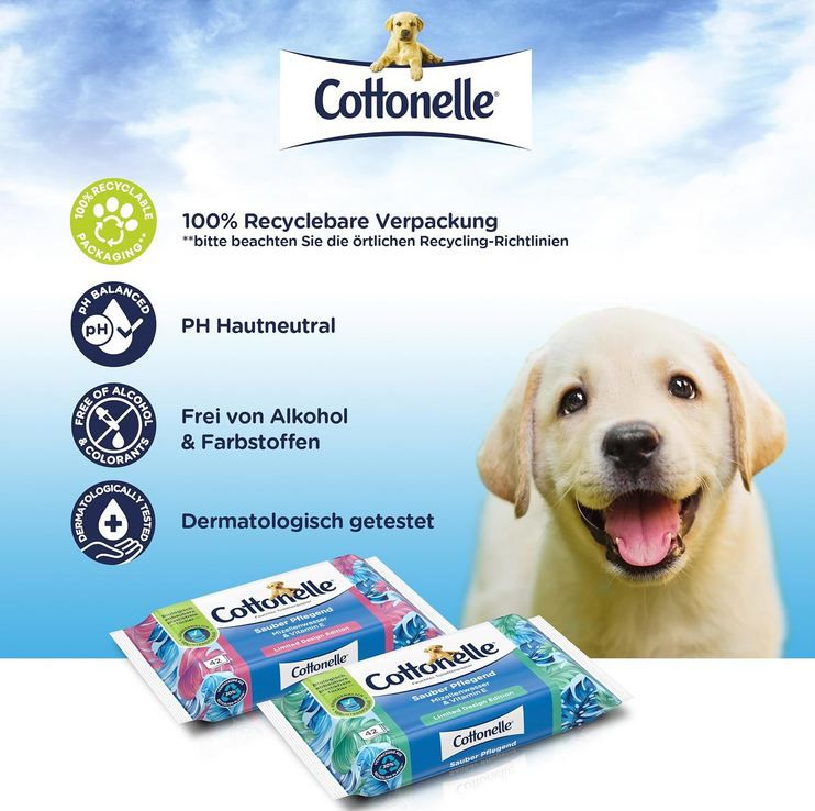 đ§» 12 x 42er Pack Cottonelle Feuchtes Toilettenpapier ab 13,49⏠(statt 23âŹ) đ§» 12 x 42er Pack Cottonelle Feuchtes Toilettenpapier ab 13,49⏠(statt 23âŹ)