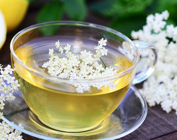 🍵 4 x 20 Beutel Meßmer Holunderblüte Limette ab 6,76€ (statt 10€)