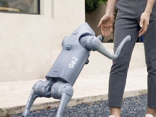 🤖 Unitree Go2 Pro KI Roboterhund für 3.199€ (statt 3.599€)